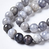 Natural Iolite Beads Strands G-N328-50B-01-3