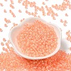 Glass Seed Beads SEED-H002-L-A235-2