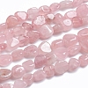 Natural Rose Quartz Beads Strands G-G841-A07-1