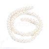 Natural Cultured Freshwater Pearl Beads Strands PEAR-C003-11B-3