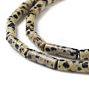 Natural Dalmatian Jasper Beads Strands G-F247-21-3