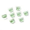 Transparent Glass Beads GLAA-P037-02A-04-1