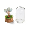 Natural Flower Amazonite Chips Money Tree in Dome Glass Bell Jars with Wood Base Display Decorations DJEW-K030-02E-3