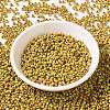 MIYUKI Round Rocailles Beads SEED-X0055-RR4512-2