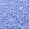 Baking Paint Glass Seed Beads SEED-H002-I-A530-3