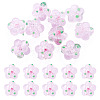 10Pcs Handmade Lampwork Beads LAMP-TADJ0001-01J-1