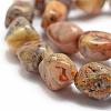 Natural Crazy Agate Beads Strands G-P301-04-3