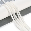 Natural Freshwater Shell Beads Strands BSHE-H109-15A-2