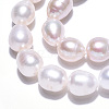 Natural Cultured Freshwater Pearl Beads Strands PEAR-N012-09D-3