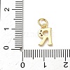 Brass Micro Pave Cubic Zirconia Charms KK-I382-03G-R-3
