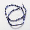 Natural Sodalite Beads Strands GSR4mmC013-5