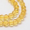 Natural Amber Beads Strands G-Q1006-01B-3