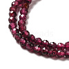 Natural Garnet Beads Strands X-G-I341-09A-4