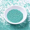 MIYUKI Delica Beads X-SEED-J020-DB0166-2