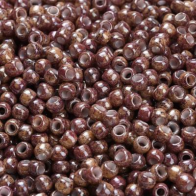 TOHO 6/0 Round Beads X-SEED-TR06-1203-1