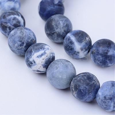 Natural Sodalite Beads Strands G-Q462-10mm-07-1