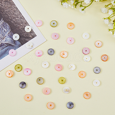 300Pcs Dyed Natural Shell Beads SHEL-HY0001-01-1