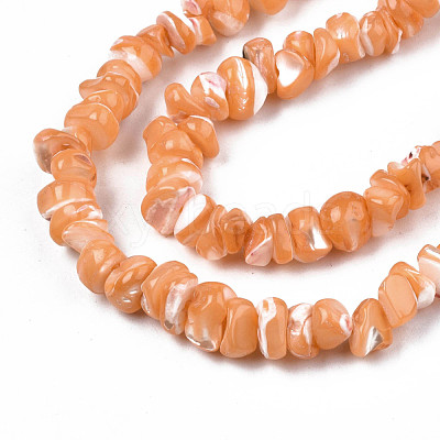 Natural Freshwater Shell Beads Strands SHEL-N003-23-B06-1