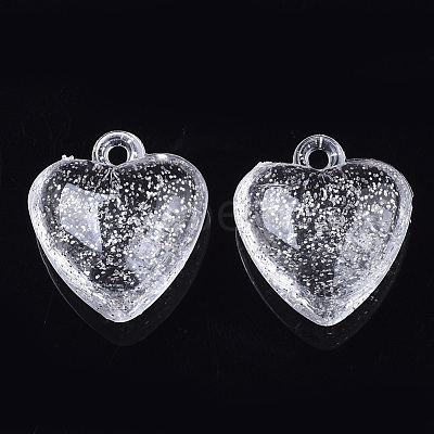 Transparent Acrylic Pendants TACR-Q264-25-1