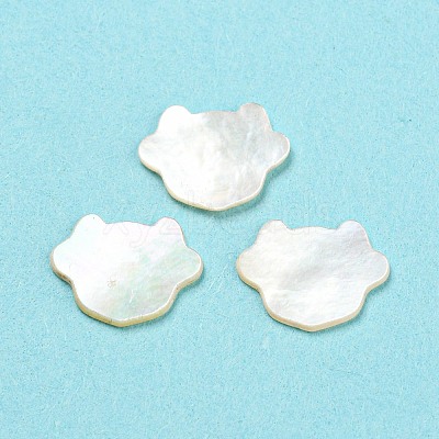 Natural Sea Shell Cabochons SHEL-D079-15-1