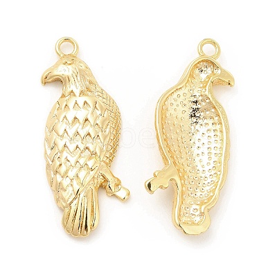 Brass Pendants KK-G447-14G-1