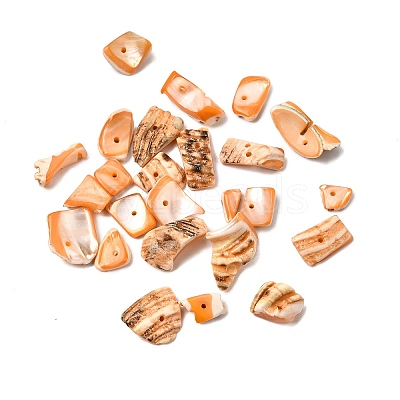 Natural Shell Bead Strands BSHE-P010-06-1