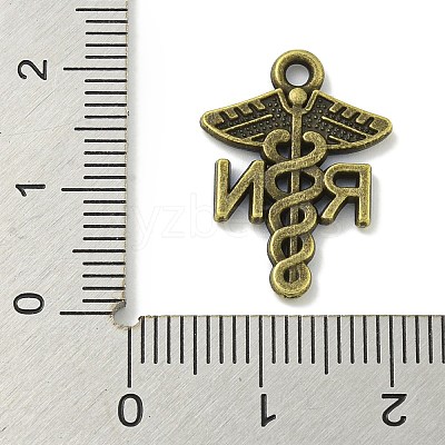 Tibetan Style Alloy Pendants TIBE-I026-5976AB-1