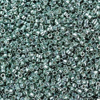 MIYUKI Delica Beads SEED-X0054-DB1846-1