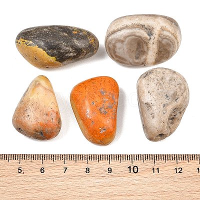Natural Bumblebee Jasper Beads GG-CBAD0F6-B15-01-1