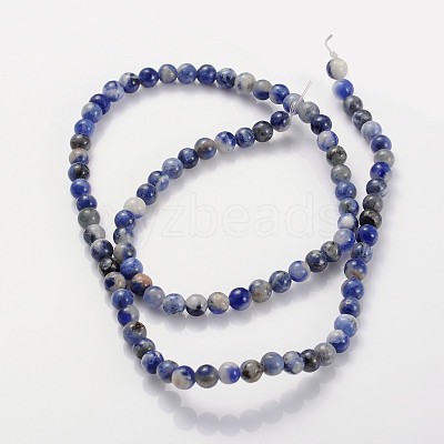 Natural Sodalite Beads Strands GSR4mmC013-1