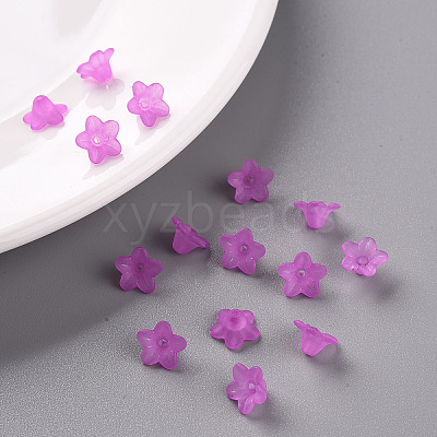 Transparent Acrylic Beads LS-X-PL554-17-1