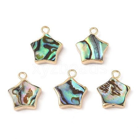 Natural Paua Shell Star Charms with Brass Edge SHEL-P017-15G-1