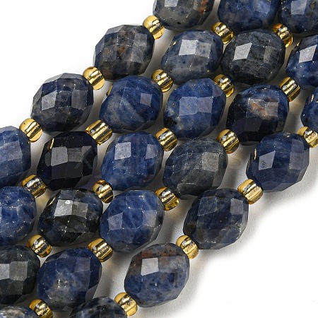 Natural Sodalite Beads Strands G-N342-37-1