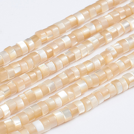 Natural Trochid Shell/Trochus Shell Beads Strands X-SSHEL-L016-13B-1