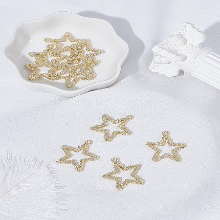 10Pcs Alloy Pendants FIND-LP0005-46-1