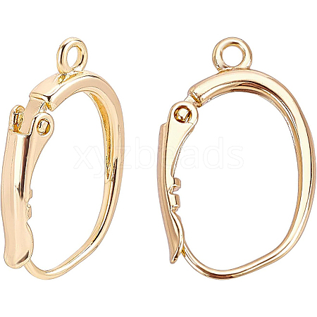 Brass Leverback Earring Findings KK-BC0001-28G-NF-1