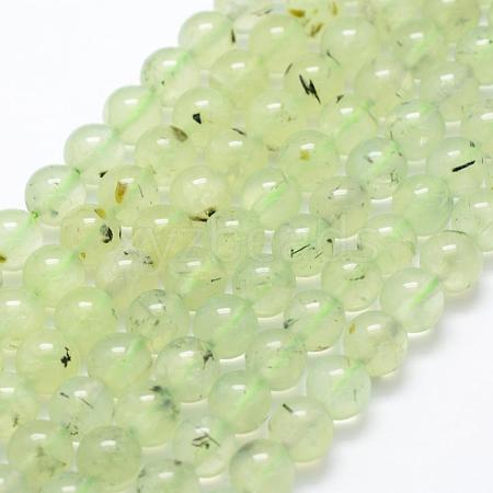 Natural Prehnite Beads Strands G-P322-47-8mm-1