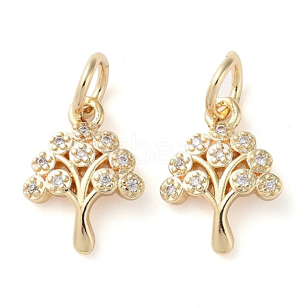 Rack Plating Brass Micro Pave Clear Cubic Zirconia Charms KK-D097-05G-1