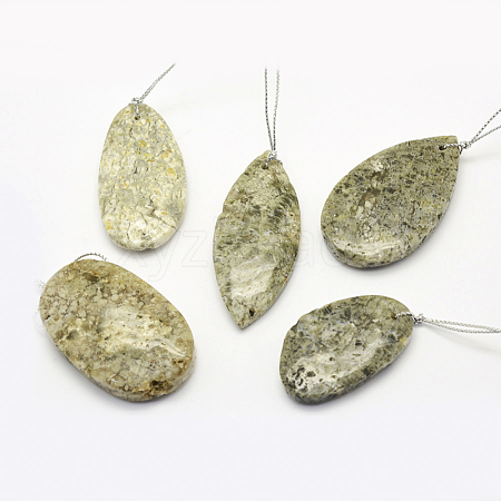 Natural Fossil Pendants G-G694-B-12-1