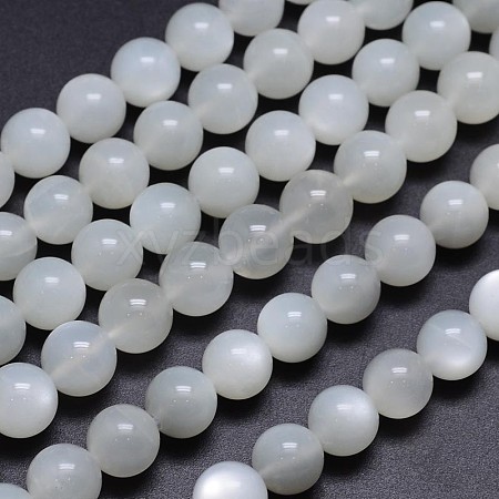 Natural White Moonstone Round Bead Strands G-M262-10mm-04-1