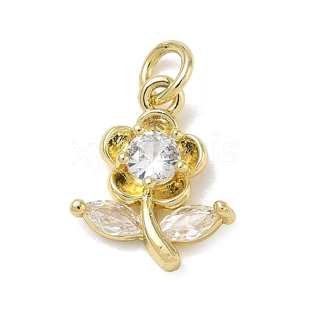 Brass with Rhinestone Charms KK-CBAD872-01G-10-1