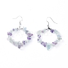 Natural Fluorite Dangle Earrings EJEW-E255-D04-2