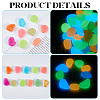 1 Set Resin Luminous Glow in the Dark Pebbles Stone DJEW-CN0001-40A-5
