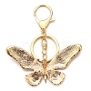 Zinc Alloy Keychain PW-WG329F6-02-2