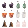 12Pcs 6 Style Natural & Synthetic Gemstone Pendants G-FS0001-35-1