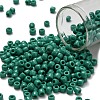 TOHO 6/0 Round Beads X-SEED-TR06-0055D-1