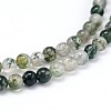 Natural Gemstone Round Bead Strands X-G-J303-07-8mm-3