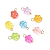 Transparent Acrylic Pendants PALLOY-JF01837-01-1