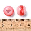 Resin European Beads RESI-U008-05D-2