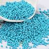 Baking Paint Glass Seed Beads X-SEED-S042-05B-58-1